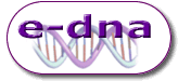 www.e-dna.be